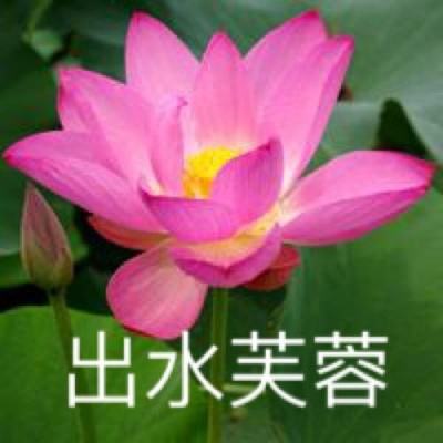 剑雨主宰手游下载
