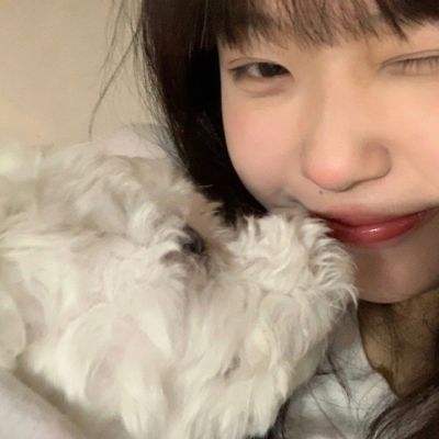 破碎的秩序内购破解版下载